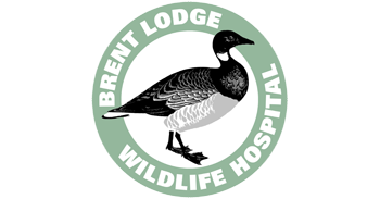 Brent Lodge Bird & Wildlife Trust free will