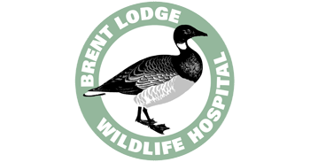 Brent Lodge Wildlife Hospital free will