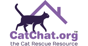  Cat Chat  logo