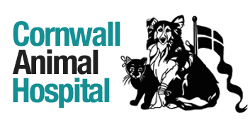  Cornwall Animal Hospital  logo