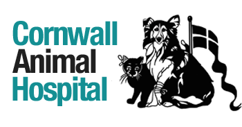 cornwall animal hospital