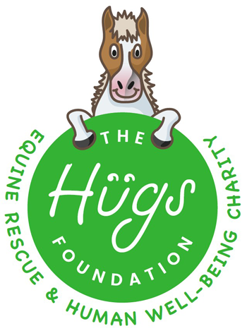  Hugs Foundation  logo