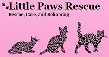 Little Paws Rescue free will