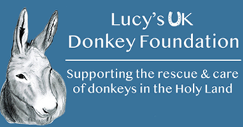  Lucy's UK Donkey Foundation  logo