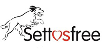  Settusfree  logo