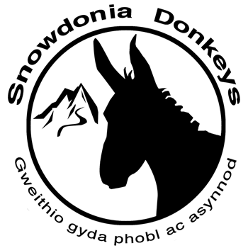  Snowdonia Donkeys  logo